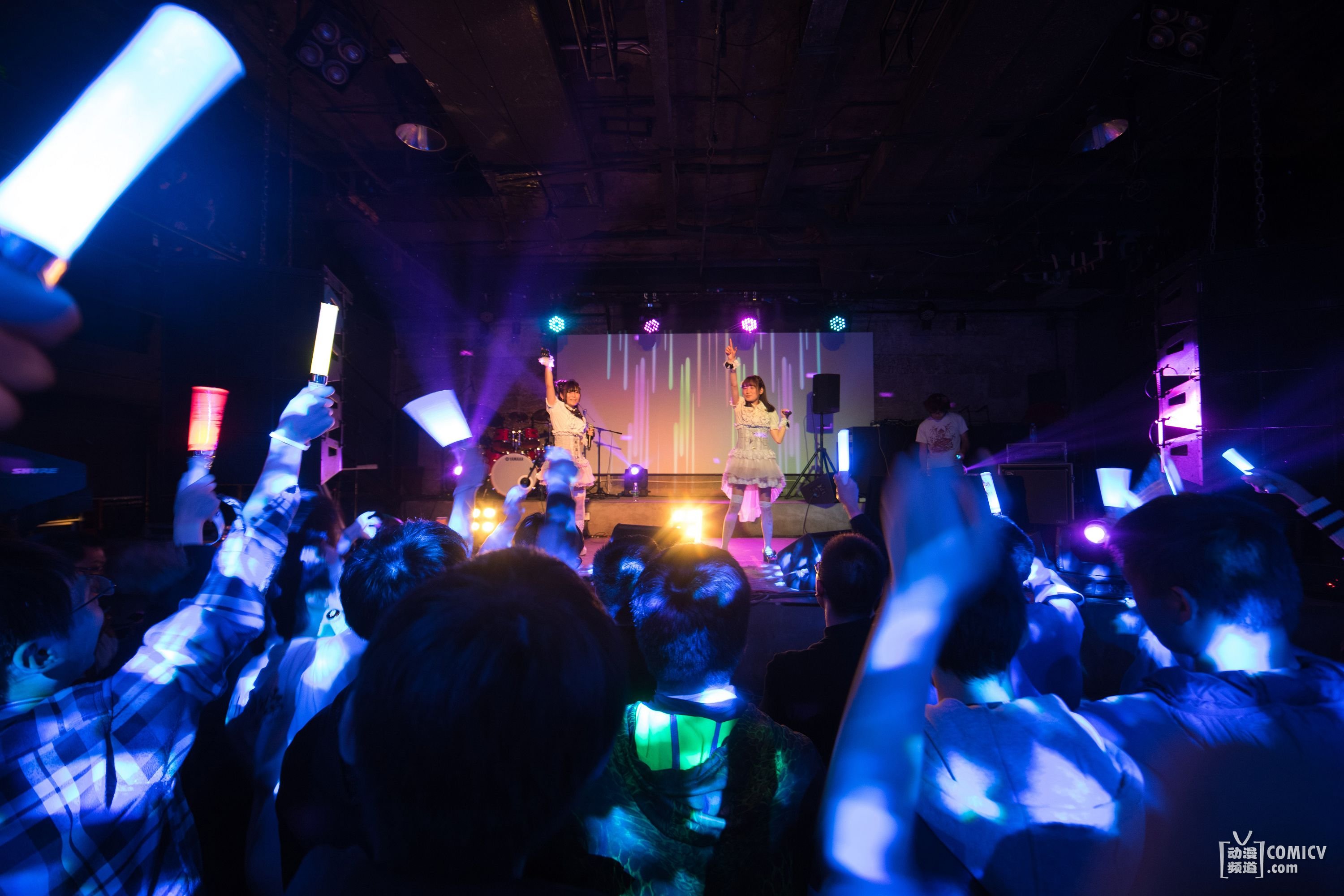 DSC03865_pt.jpg DSC03865_pt.jpg